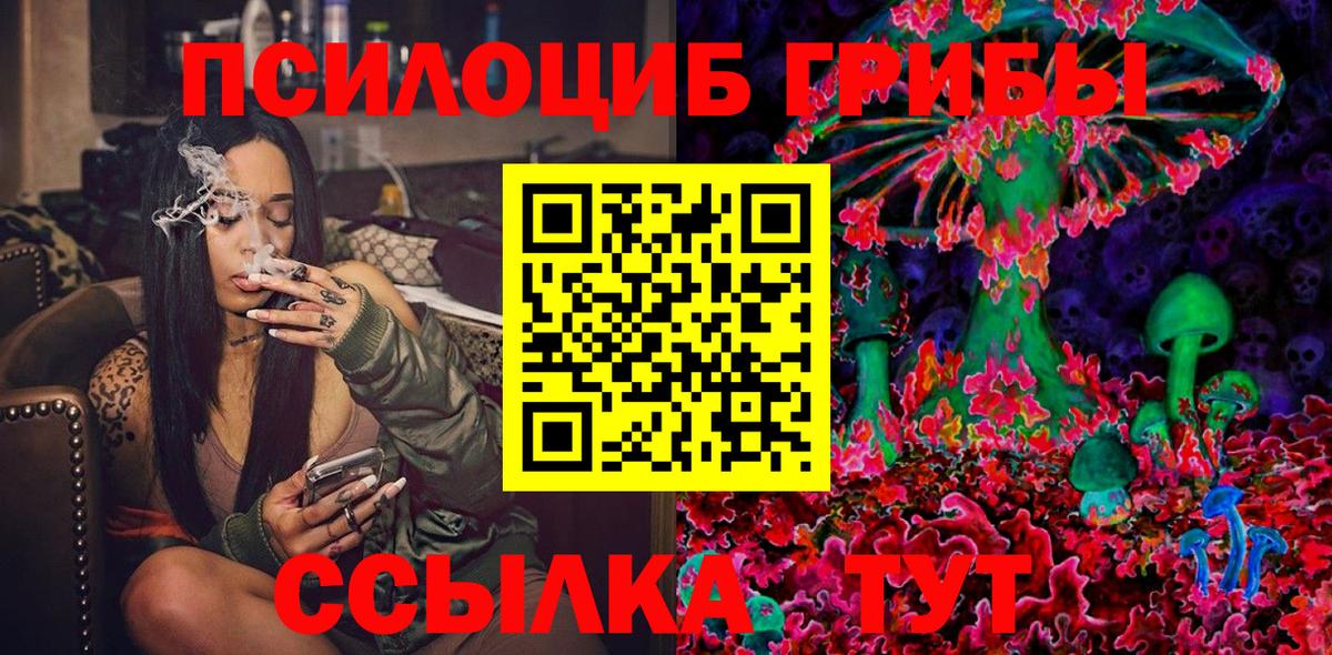 Галлюциногенные грибы прущие грибы  Вход с VPN  Кудрово  Псилоцибиновые грибы MAGIC MUSHROOMS 