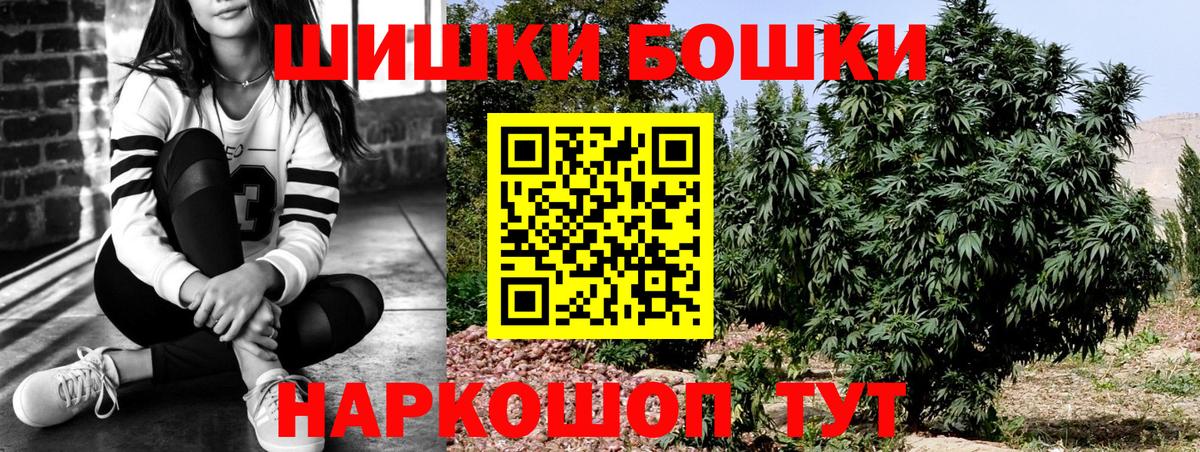 Конопля план  Вход с VPN  Кудрово  Шишки марихуана сатива  Каннабис THC 21% 